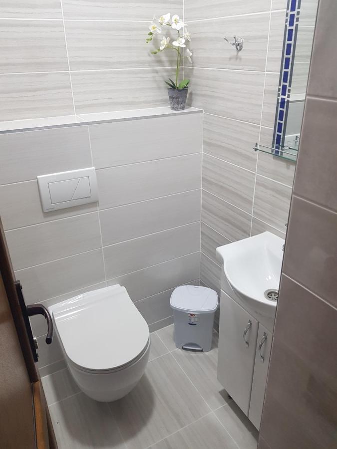 Kiki'S Villa Codru Kültér fotó