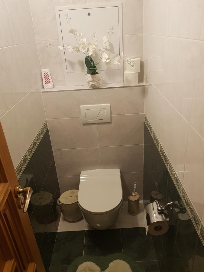 Kiki'S Villa Codru Kültér fotó